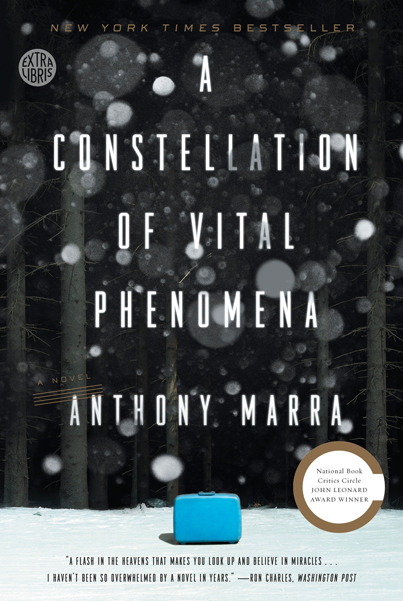 A Constellation of Vital Phenomena Book Cover